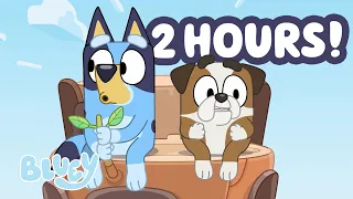 🔴 LIVE: Bluey and Winton are playing Helicopter!💙🌱🚁 | ﻿2 HOURS | ﻿Bluey