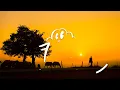 De Mthuda, Da Muziqal Chef & Eemoh – Sgudi Snyc (Lyrics)