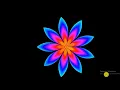 Make a cool flower design using python turtle