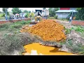 Download Lagu First Start A New Project!! LandFill Rock Soil Delete Pond Process By Komatsu D20P With 5Ton Trucks Download Lagu First Start A New Project!! LandFill Rock Soil Delete Pond Process By Komatsu D20P With 5Ton Trucks