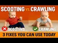 Baby Won t Crawl Only Scoots Here s What a Physical Therapist Says