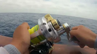 976-TUNA 2-Day Charter BLUEFIN LIMITS HIGHLINER SPORTFISHING 2023