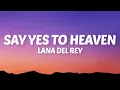 Download Lagu Lana Del Rey - Say Yes To Heaven (Lyrics)
