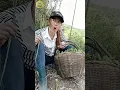 Download Lagu masteran burung memes viral funny moments #funnyvideo #birdsounds #Shorts
