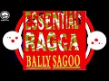 Download Lagu Kali Teri Gut  | Bally Sagoo