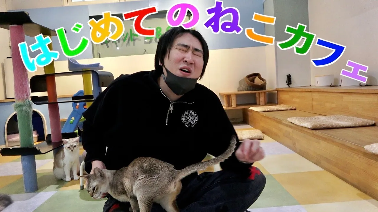 生まれて初めて猫カフェに潛入したら天國すぎたwww