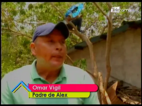 Alex: El universidario que recibe clases virtuales sobre las ramas de un árbol