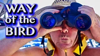 ESCAPE THE MAINLAND: FRIENDS & CREW [Adventure #100]