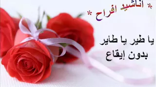 ياطير ياطاير   اناشيد افراح بدون ايقاع دندنها