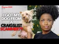 I Got My Dog From A Craigslist Scammer LexTalk Storytime VLOGMAS 2020 Day 22