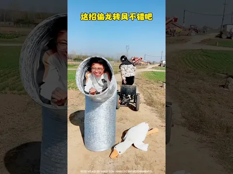 Todos quedan sorprendidos con esta travesura al pato! 🦆😱😂