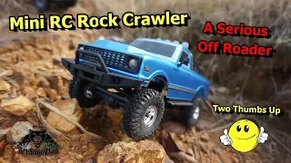 RC Off Road Mini Electric 4WD RC Truck Rock Crawler