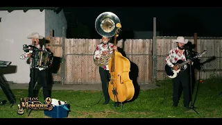 las ma anitas y en tu dia los viejones del rancho tuba y tololoche