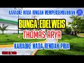 Download Lagu BUNGA EDELWEIS - THOMAS ARYA KARAOKE NADA RENDAH PRIA   KARAOKE NADA RINGAN