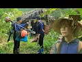 Download Lagu The kind man unexpectedly learned the truth in the abandoned house _ Ly Thanh Thuy 