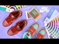 Nike SB Dunk Low Pro PRM A Dictionary of Color Combinations