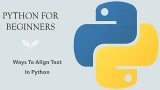 Python for Beginners Ways To Align Text In Python