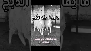 ما يقال عند ذبح الأضحية 