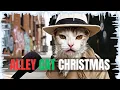 Lagu Do Alley Cats Celebrate Christmas?🎄(NYC AlleyCats Part 14)