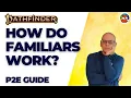 How do Basic Pathfinder Familiars Work