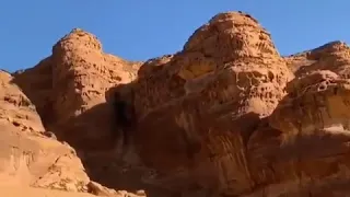 أبيات من الشاعر فزاع حمدان بن محمد بن راشد أهل العلا دار زايد دار سلمان  أبيات من الشاعر فزاع حمدان بن محمد بن راشد أهل العلا دار زايد دار سلمان