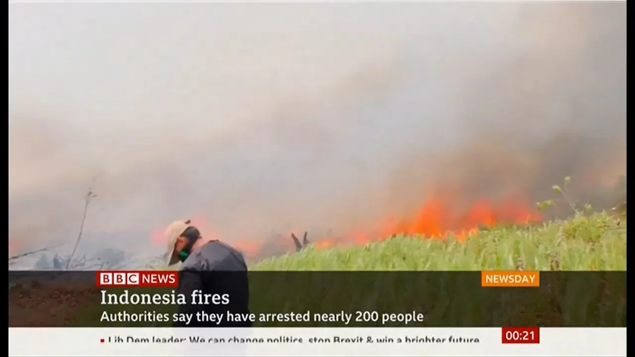 Indonesia Fires and Haze