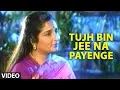Download Lagu Tujh Bin Jee Na Payenge - A Heart Touching Song By Anuradha Paudwal | Aashiyan Album