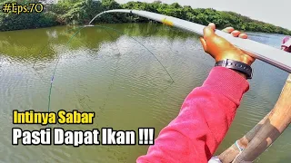 Download Eps.70 Branjang ikan di daerah Pesisir Demak Jawa Tengah MP3