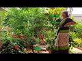 Download Lagu దేవుడందరికీఅవకాశంఇస్తాడు|నచ్చిననచ్చకపోయినా మాlifeలోఇవిఒకభాగం|వీటికోసంఎక్కడెక్కడకోవెళ్లి మరీచూస్తారు