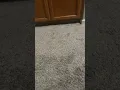 I just made a loop