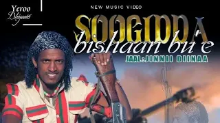 Sirba Afaan Oromoo Jaal Jiinnii Dinaa Bara 2024 