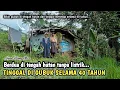 Download Lagu HANYA BERDUA TINGGAL DI GUBUK KECIL DI TENGAH HUTAN SELAMA 40 TAHUN TANPA LISTRIK...