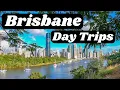 Day Trips from BRISBANE 20 Things to see and do Sunshine Coast Gold Coast Islands