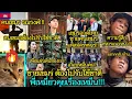 Lagu รวมข่าวสารบ้านเมืองเขมร😂🎬เหมียวคุยเรื่องเหม็น!!! 🔥EP.252