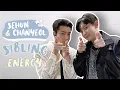 Download Lagu EXO Chanyeol and Sehun radiating sibling energy