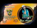 Download Lagu TIKET SUWARGO | Ratu Gindrang Elsa Amelia Ft. New Pallapa | LIVE KONSER TERBARU 2019