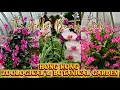 Download Lagu HONG KONG ZOOLOGISCHE \u0026 BOTANISCHE TUIN \u0026 DE VERBORGEN SCHOONHEID BINNENIN😱😱😱