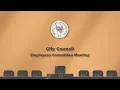 City Council Employees Committee 2026 07 29