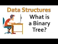 Data Structures - What is a Binary Tree