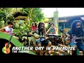 Download Lagu The Farmer - Another Day in Paradise (Phil Collins Cover)