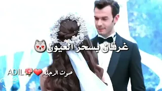 يا بكون الحب جنون اجمل حلات وتساب حب اغني رمنسي دندنها