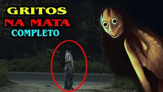 GRITOS NA MATA COLETÂNEA  ASSOMBRADA