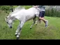 Lagu Funny Redneck Fails | Hilarious Compilation😂