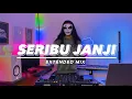 Download Lagu DISCO HUNTER - Janji Seribu Janji (Extended Mix)