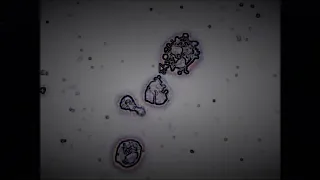 UNDER Malcontents Official Music Video 