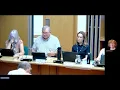 Strategic Overview and Scrutiny Committee - 4 August 2026
