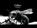 Download Lagu Caliber – Deep Progressive Psytrance | Official Music Video