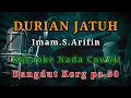 Download Lagu DURIAN JATUH_IMAM.S.ARIFIN-KARAOKE NADA COWOK