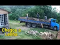 Lagu DESCARREGANDO UM CAMINHÃO DE LENHA PRO FORNO