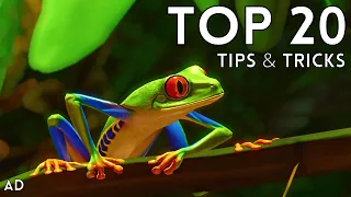 Top 20 Tips \u0026 Tricks in Planet Zoo